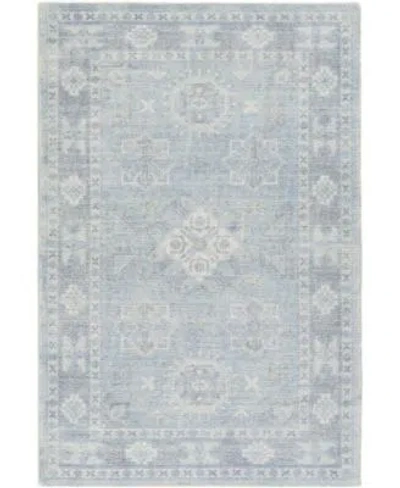 Livabliss Oregon Org 2304 Denim Area Rug