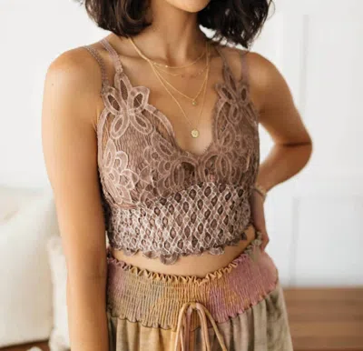 Pol Live In Lace Bralette In Mauve