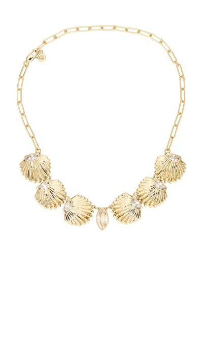 Ettika Scallop Shell Choker