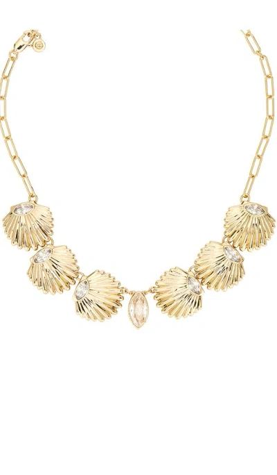 Ettika Scallop Shell Choker