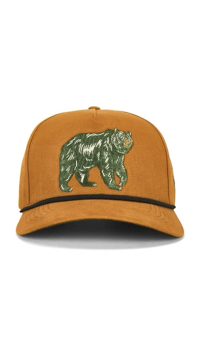 Sendero Provisions Co. Bear Cap In Gold