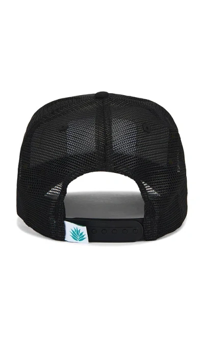 Sendero Provisions Co. Cowboy Pro Shop Cap In Black