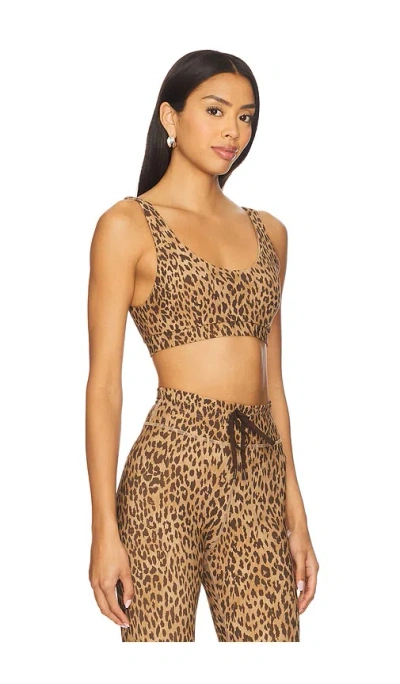 The Upside Panthera Daisy Scoop Neck Sports Bra In Brown