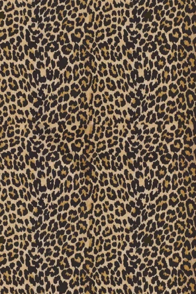 Henelle Duster Robe In Animal Print