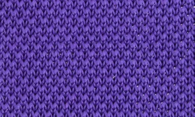 Clifton Wilson Royal Purple Knit Silk Tie
