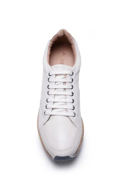 A. Veer Brooklyn Sneaker In White