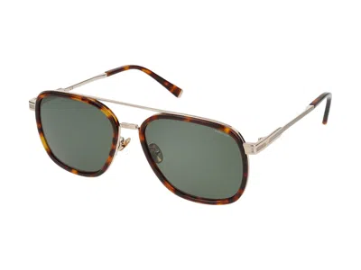 Police Sunglasses