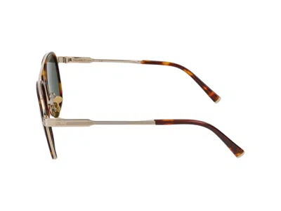 Police Sunglasses