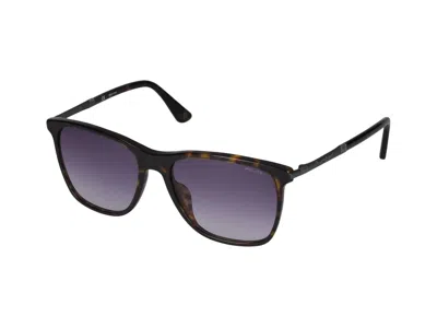 Police Sunglasses