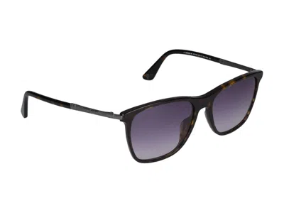 Police Sunglasses