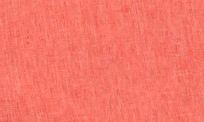 Tailorbyrd Performance Shorts