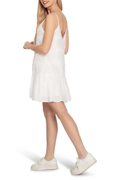 Belle & Bloom Sunny Afternoon Dropwaist Minidress