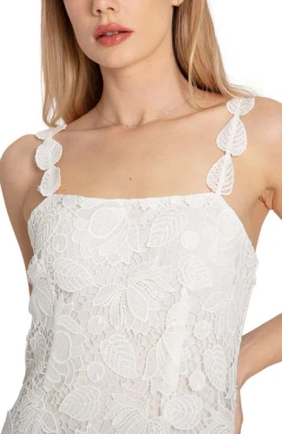 Belle & Bloom Songbird Lace Maxi Dress