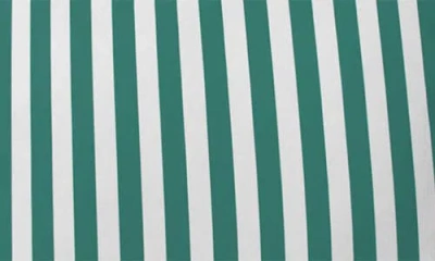 Deny Designs Bouquet Stripe Throw Pillow