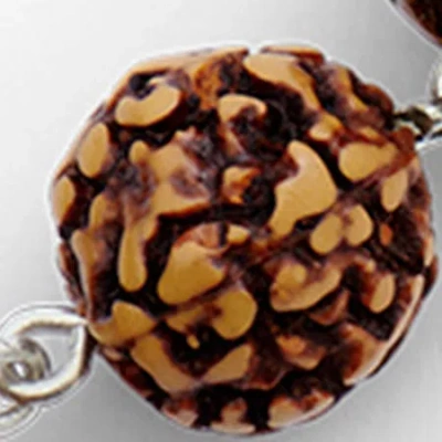 Isabel Marant Beige Rudraksha Seed Bracelets