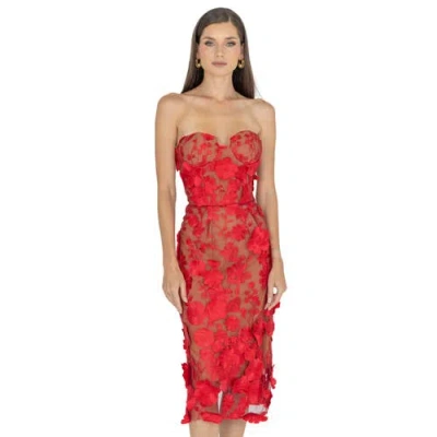 Akalia Anni Floral Embroidered Strapless Midi Dress In Red