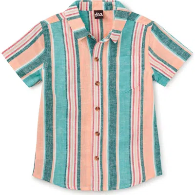 Tea Collection Stripe Button Up Woven Shirt