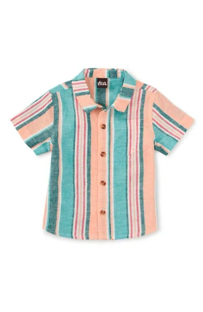 Tea Collection Stripe Button Up Woven Shirt