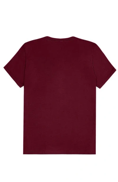 Shop Dalix Womens Lil Star Lightweight Jersey Tee