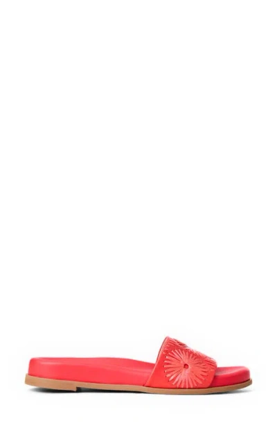 Jack Rogers Somerset Embroidered Slide Sandal In Red