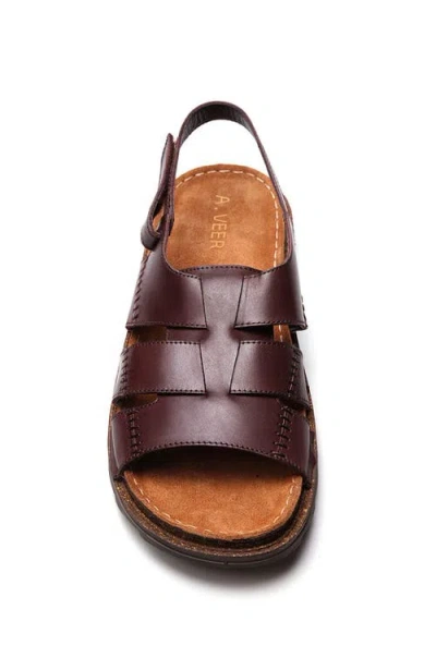 A. Veer Maldiva Back Strap Sandal In Brown