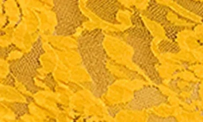 Hanky Panky Signature Lace Boyshorts
