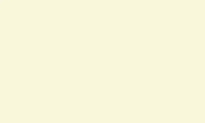 ANINE BING ANINE BING ALESSIA TEE 