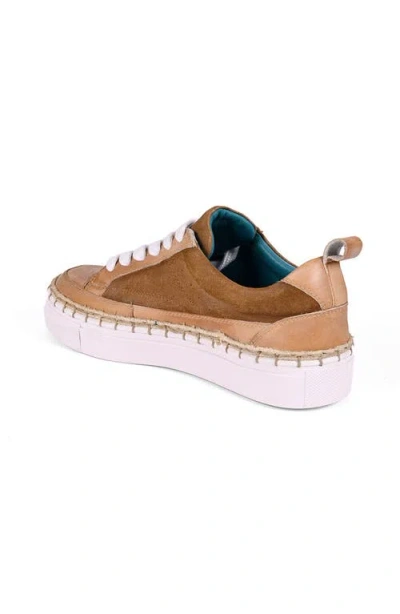 Roan Void Sneaker