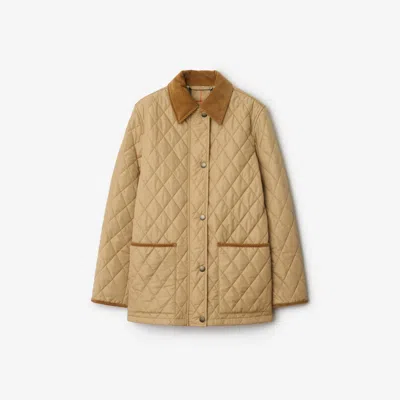 Burberry Padded Jackets With Corduroy Collar In Neutral