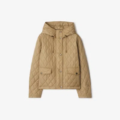 Burberry Cropped Quilted Nylon Hooded Jacket