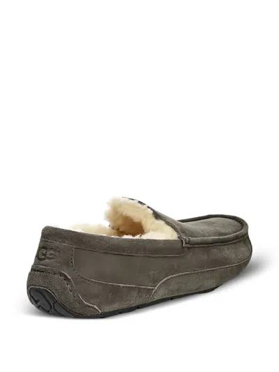 Ugg Ascot Slipper Cozy Fleece Lined Athleisure Casual Sports Shoe Gray