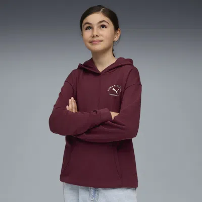 Puma Class Relaxed Hoodie Youth
