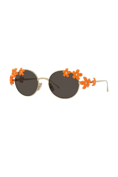 Loewe Signature Lw40173u - Gold / Orange Sunglasses