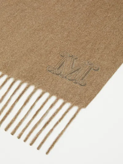 Max Mara Cashmere Shawl With Monogram Embroidery In Brown