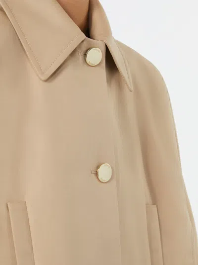Max Mara Padre Cropped Water-repellent Cotton Cloak