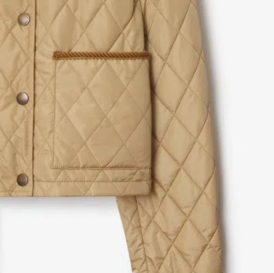 Burberry Quilted Jacket With Corduroy Collar And Pockets