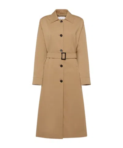 Max Mara Cotton Frida Dress
