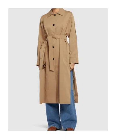 Max Mara Cotton Frida Dress