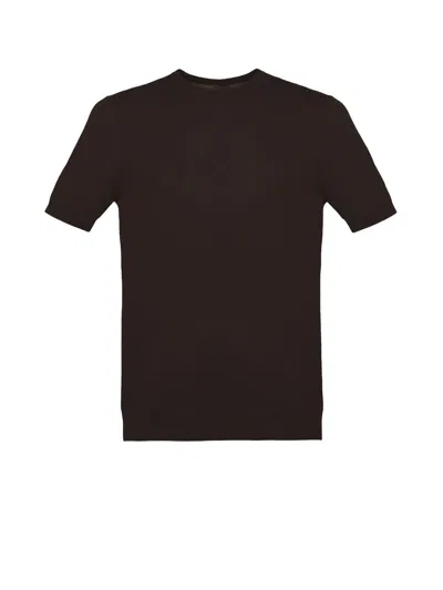Malo Brown Crew-neck T-shirt In Cotton