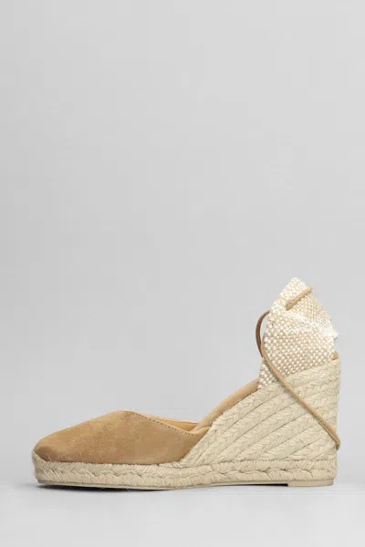 Castaã±er Castañer Carina-8-007 Wedges