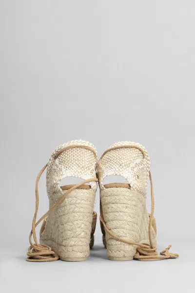 Castaã±er Castañer Carina-8-007 Wedges