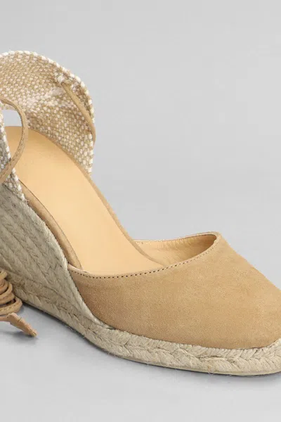 Castaã±er Castañer Carina-8-007 Wedges