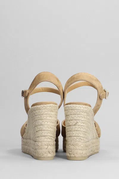 Castaã±er 100mm Blaudell Espadrilles