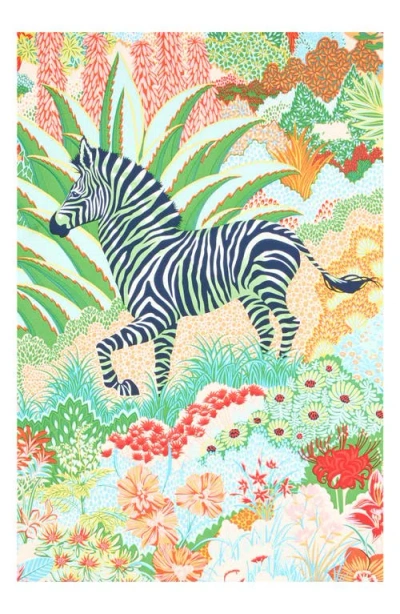 Viens Avec Moi Zebra