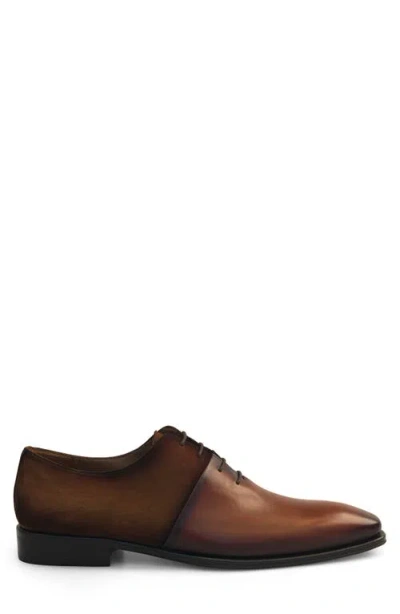 Mezlan Burnished Wholecut Oxford