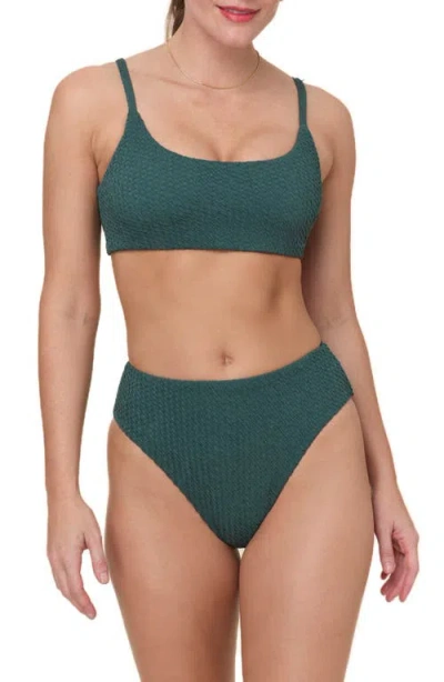 Andie Maui Bikini Top