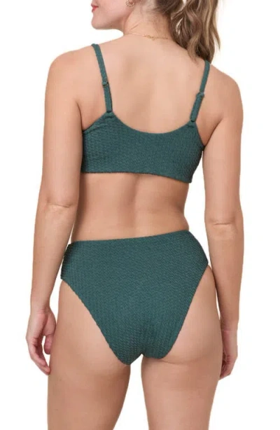 Andie Maui Bikini Top