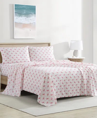 Beatrice Home Fashions Coastal Printed 4-pc. Sheet Set, King