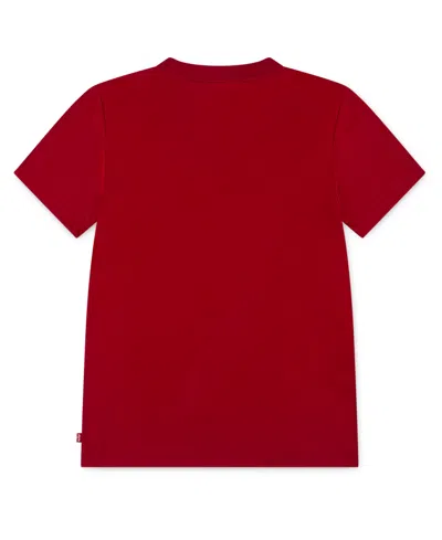 Levi's Big Boys Americana Waving Flag T-shirt