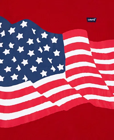 Levi's Big Boys Americana Waving Flag T-shirt